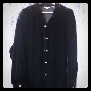 ANN TAYLOR GORGEOUS VELOUR BUTTON DOWN